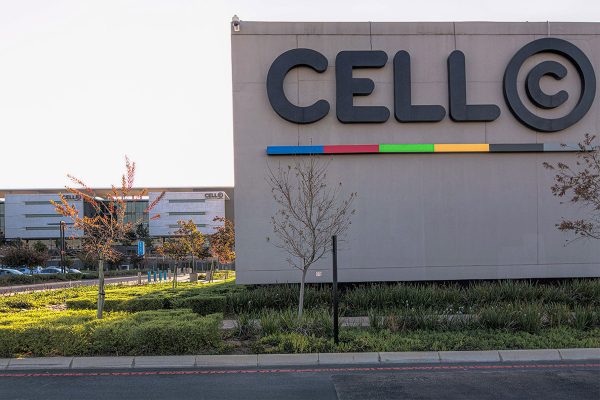 Cell C